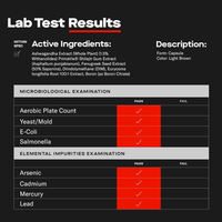 ALPHA DRIVE— Premium Men's Formula